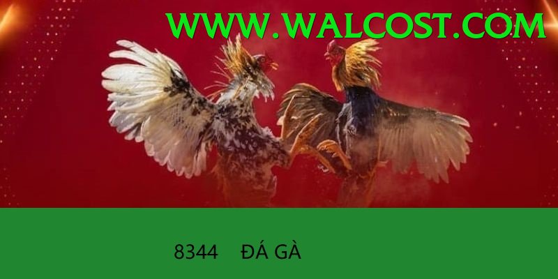Đá Gà Trực Tiếp - oke88