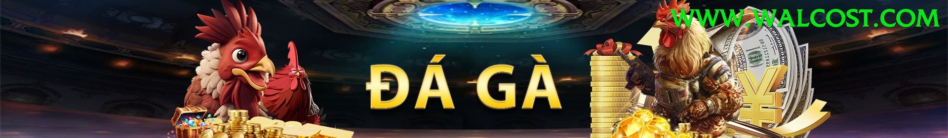 Đá Gà Trực Tiếp - Trải nghiệm tuyệt vời