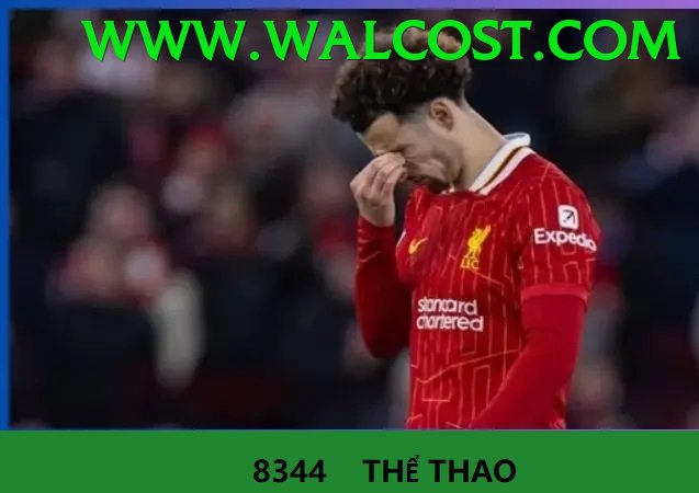 Cá Cược Thể Thao - oke88